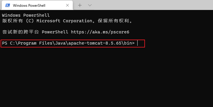 image-20210506104953452